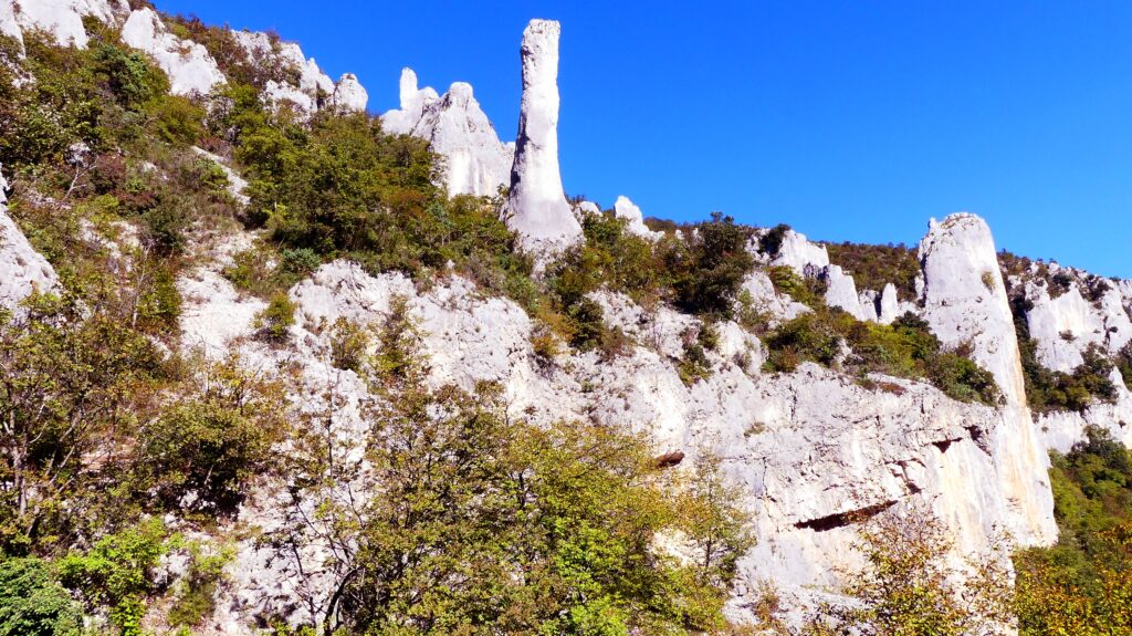 CROATIE 77