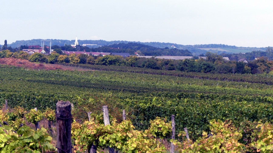 HONGRIE LAC BALATON 17
