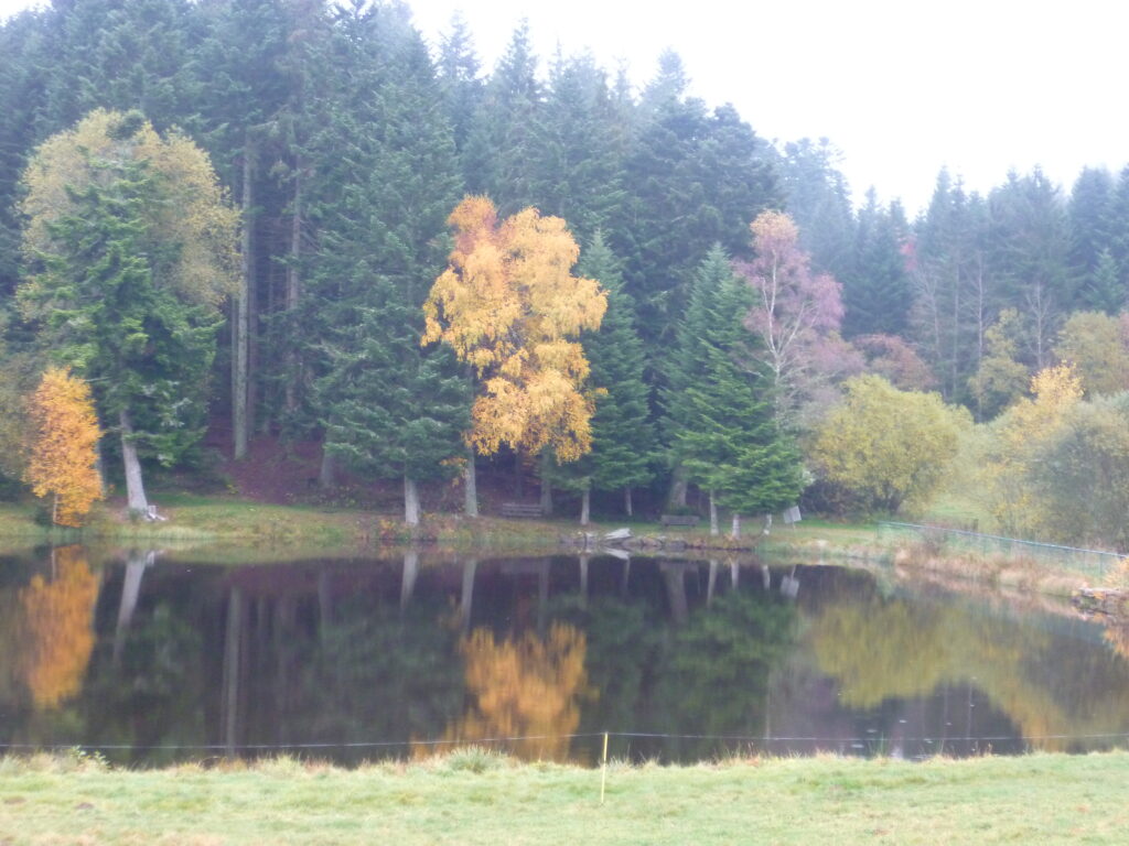 P1030221