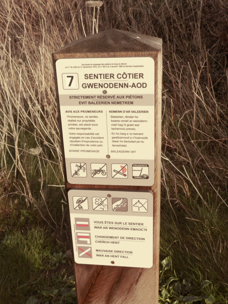 P1090369