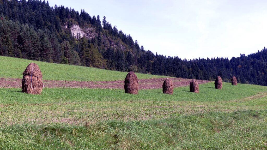 SLOVAQUIE 7