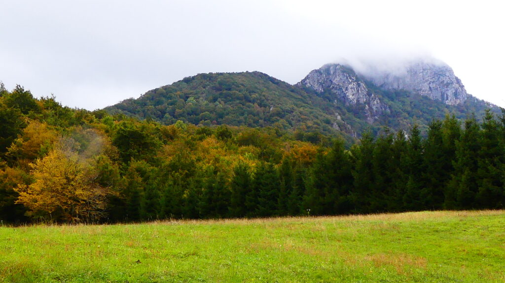 SLOVENIE 23