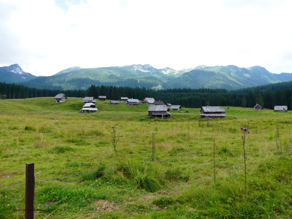 lesvoyagesdelauretludo slovenie 2016 12