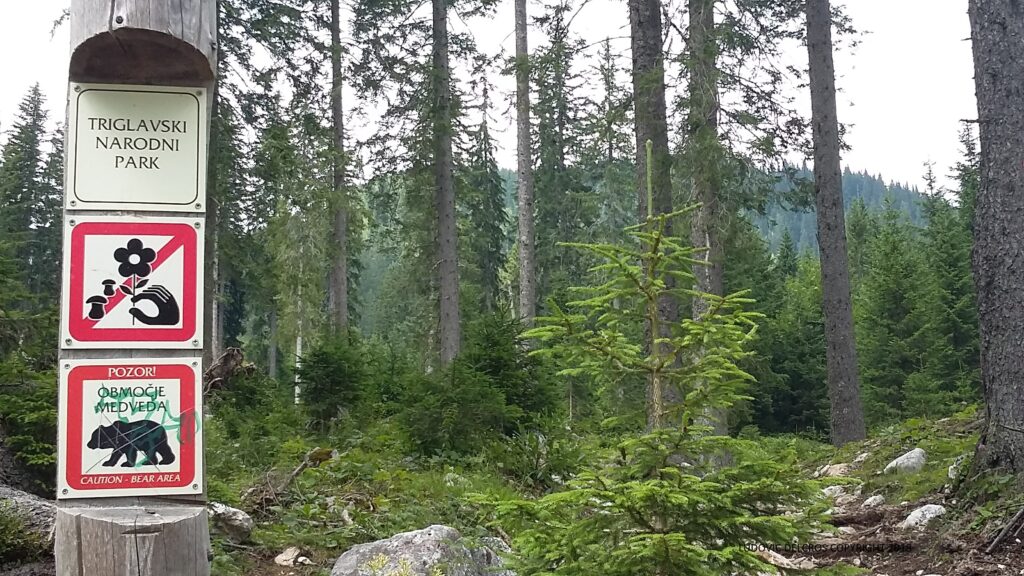 lesvoyagesdelauretludo slovenie 2016 16