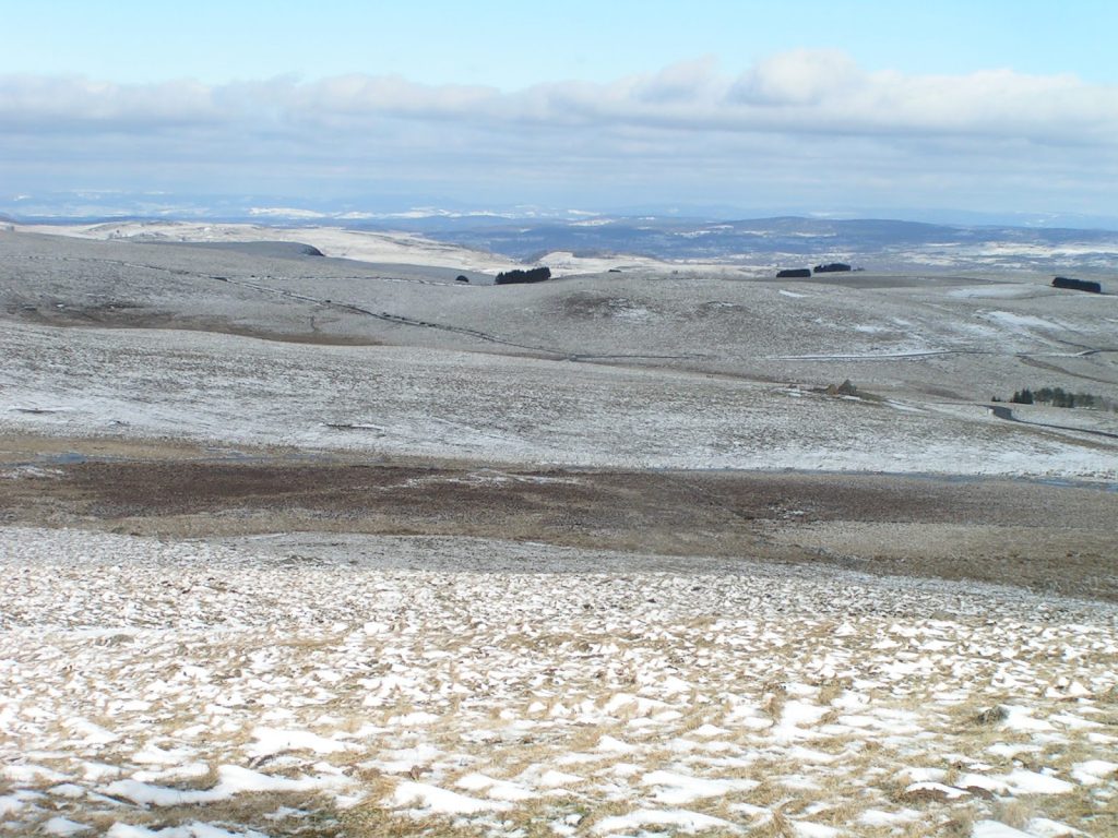 AUBRAC PUY