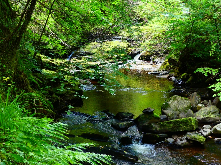 ecosse