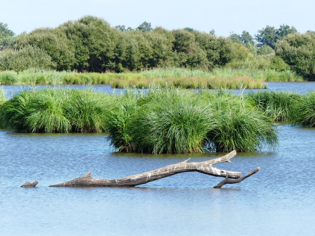 BRENNE ETANG