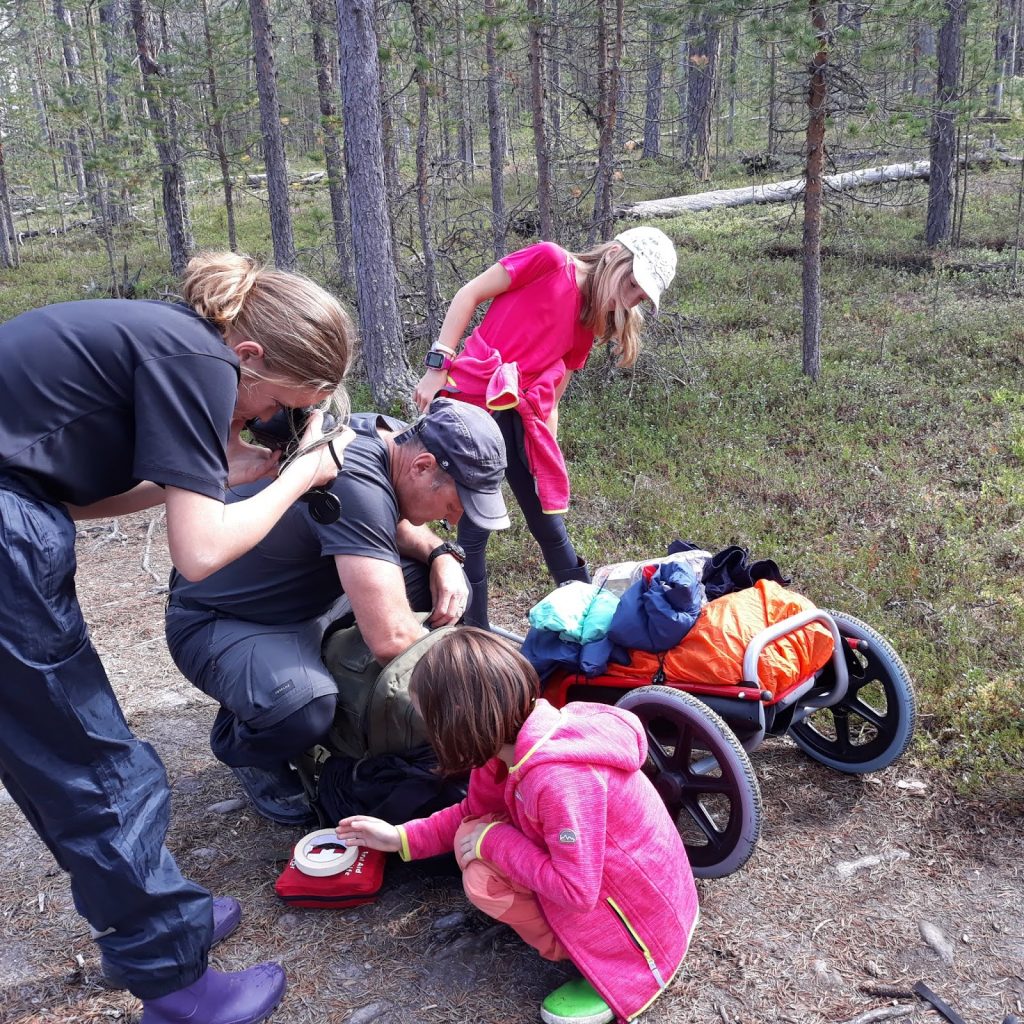 FINLANDE LAURE 652