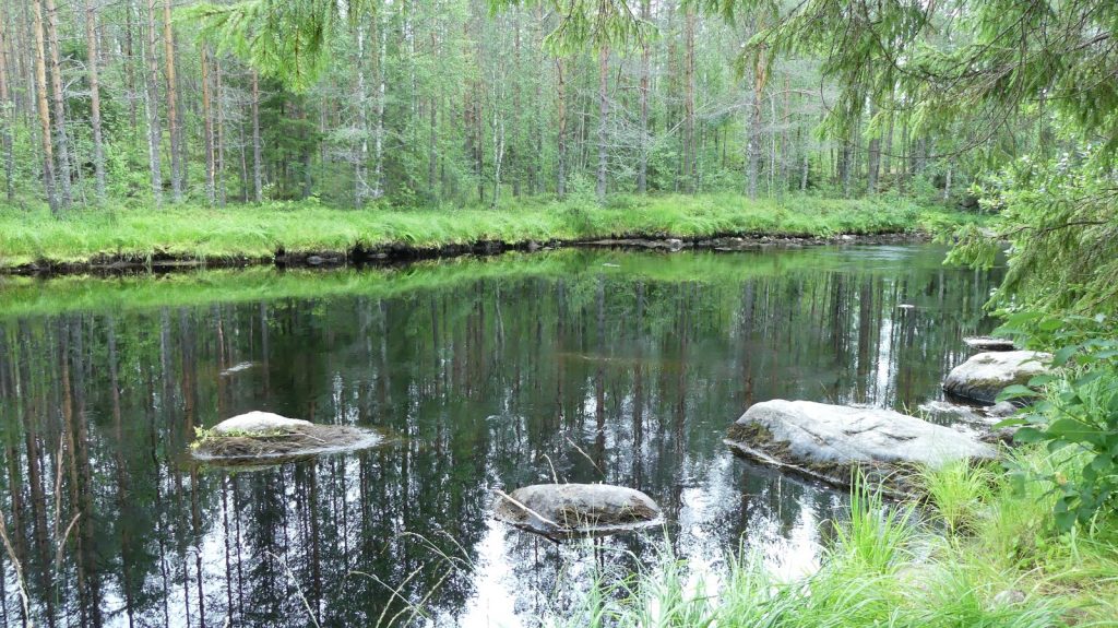FINLANDE PATVINSUO 14