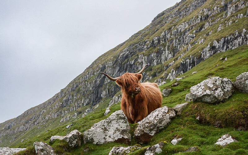 L'Ecosse
