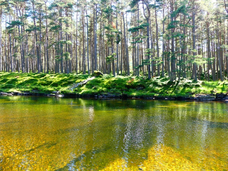 ecosse