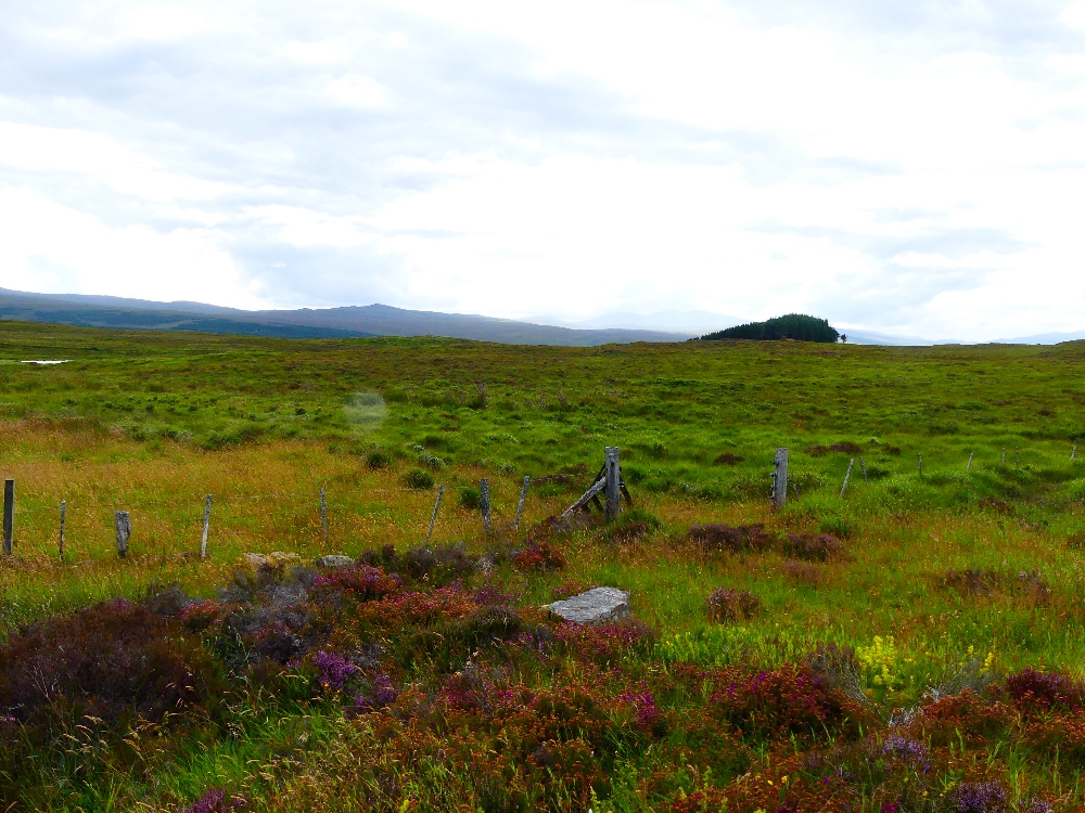ecosse