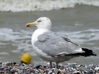 NORETE08 2 1
