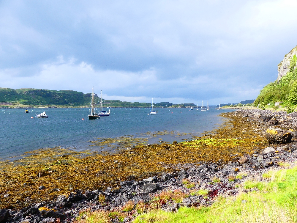 Oban Ecosse v1