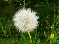 P1000198