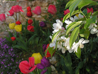 floravr07 8
