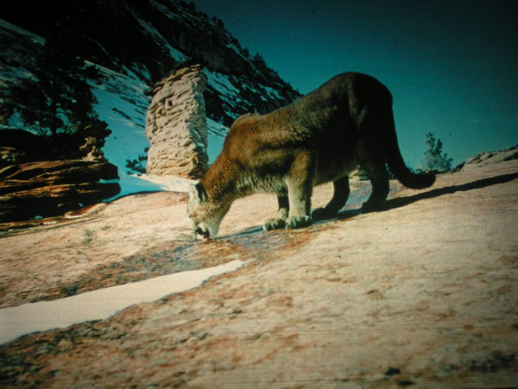 A 15 1