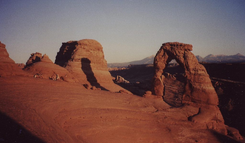 A 8 1