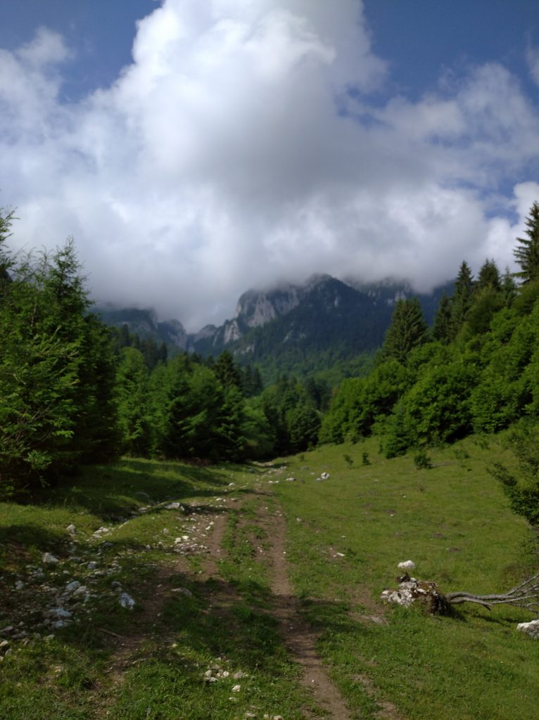 IMG 20210708 094559 1