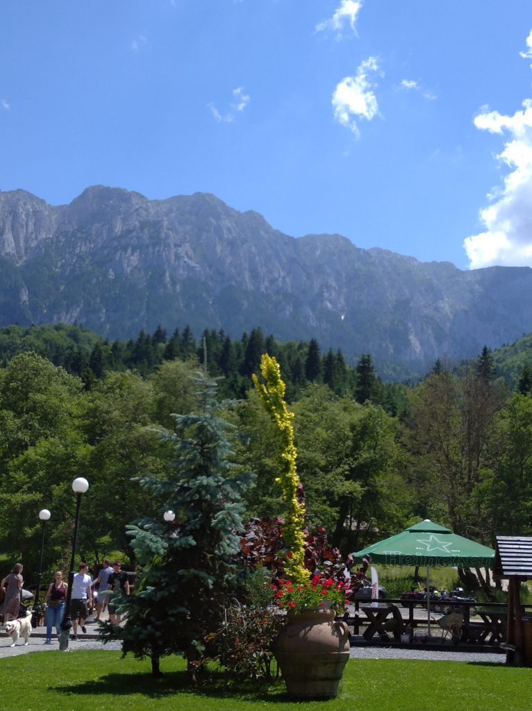 IMG 20210709 135645 1