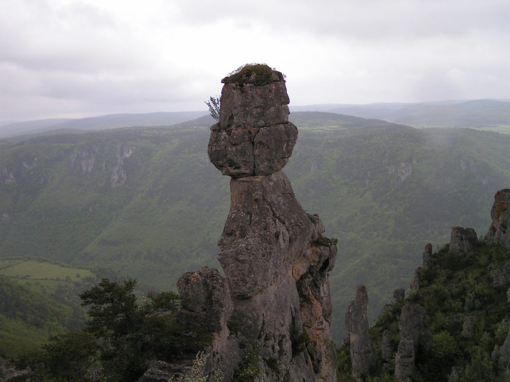 MILLAUMAI06 46