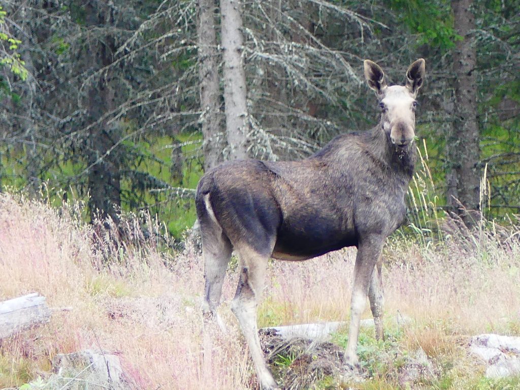 P1020480