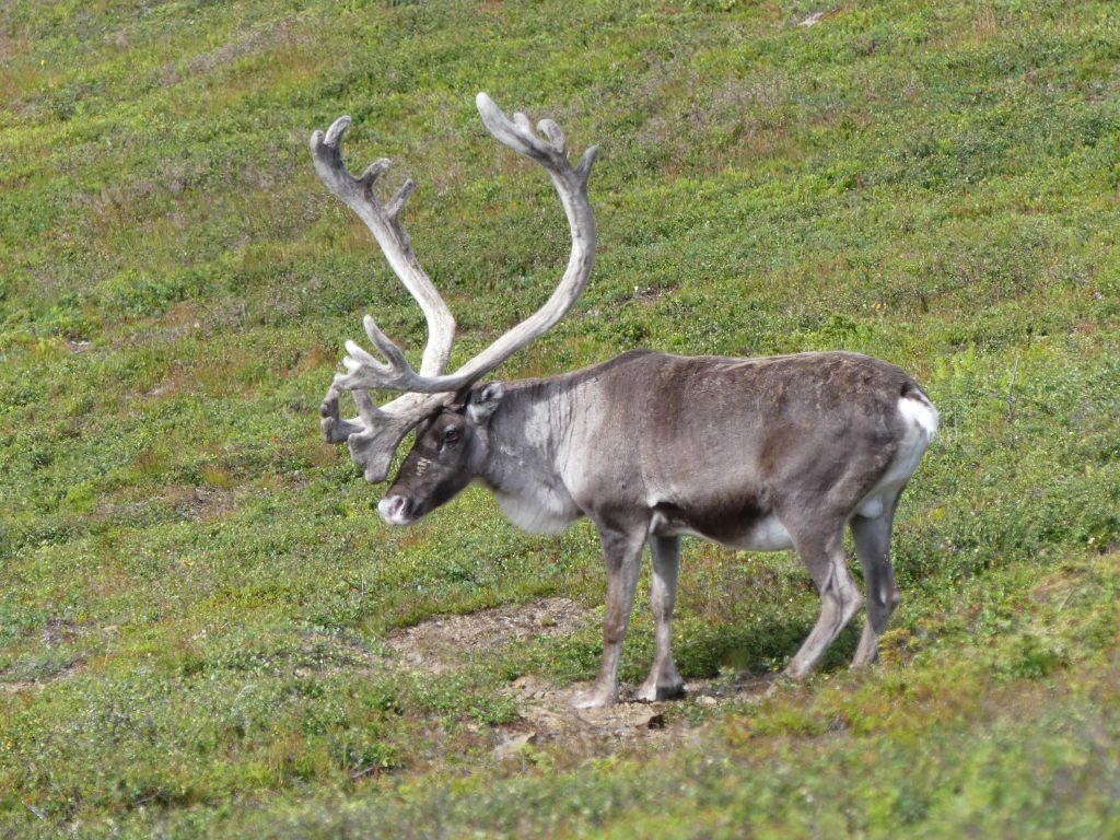 P1030007