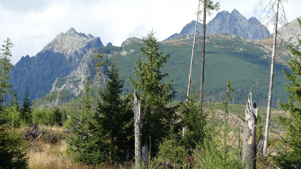 TARTRAS SLOVAQUIE 29