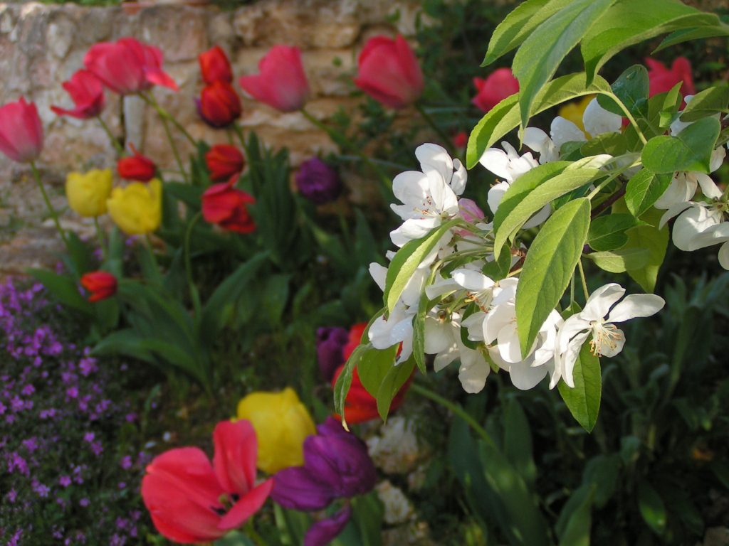 floravr07 8