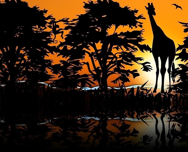 giraffe 858775 640