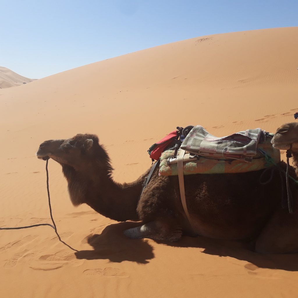 maroc 284