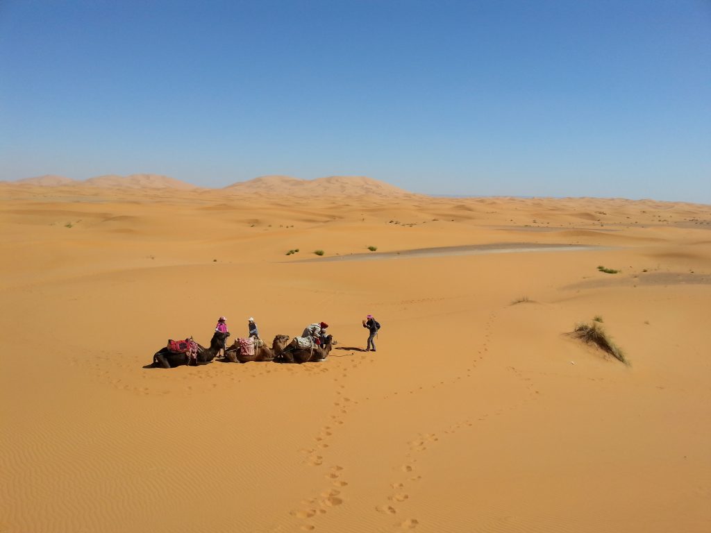 maroc 295 Copie