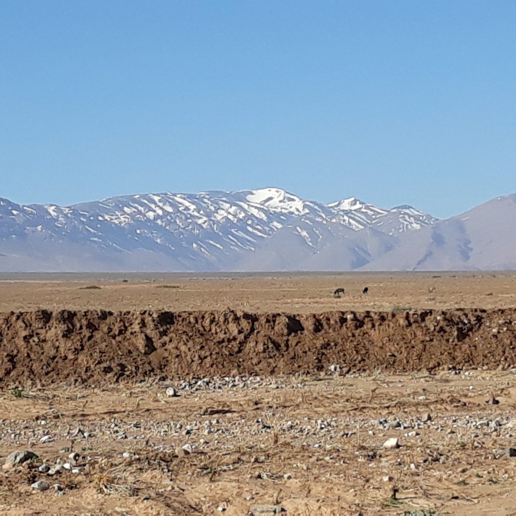 maroc 469 Copie