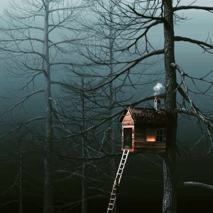 treehouse gba13a9db2 640
