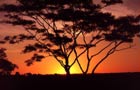 voyage afrique 02