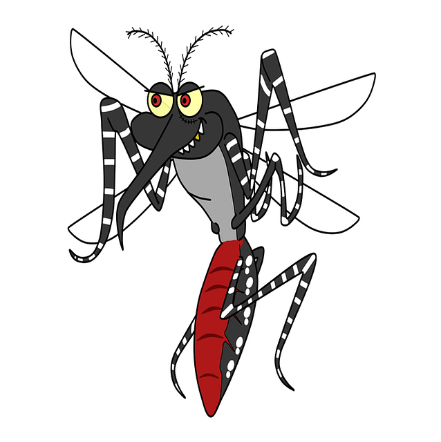 aedes aegypti 1351001 640
