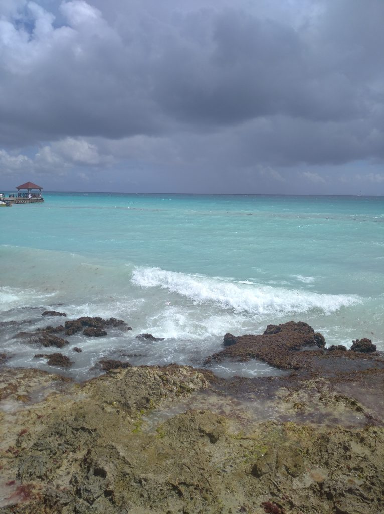 BAYAHIBE 1