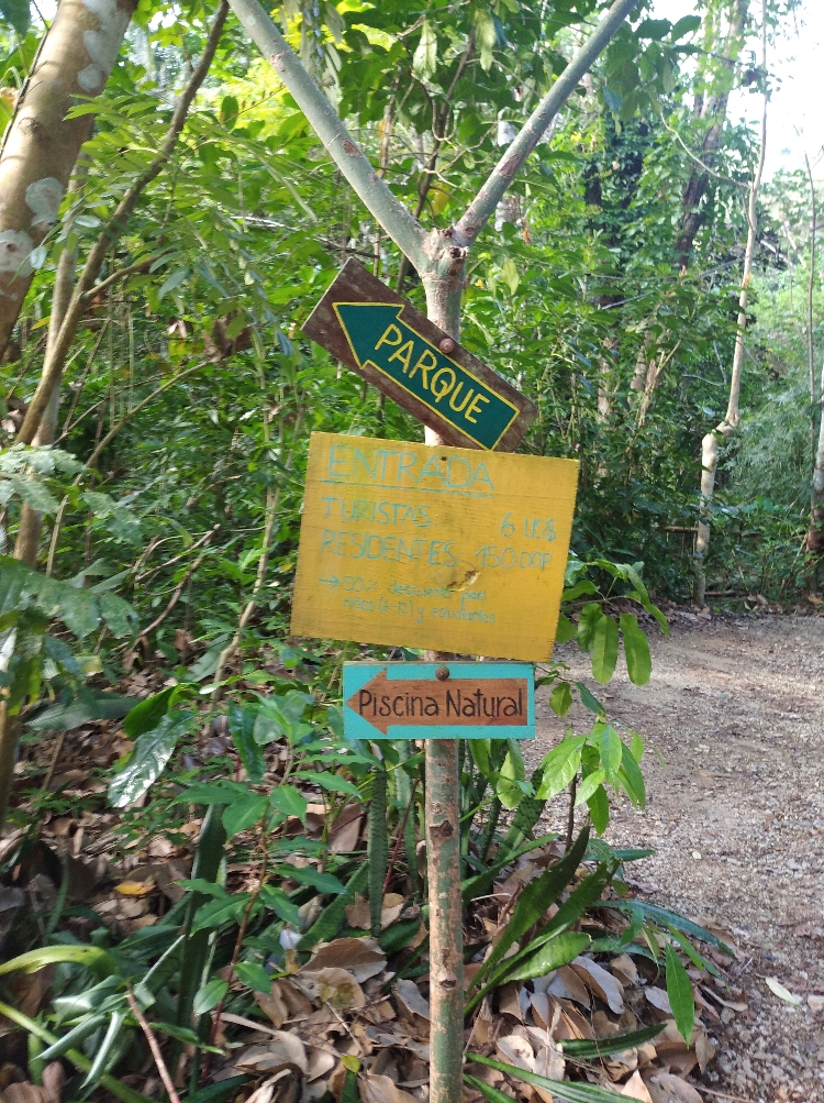 LAS TERRANAS 11