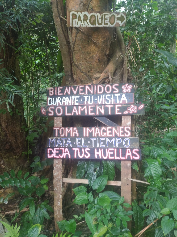 LAS TERRANAS 76 1