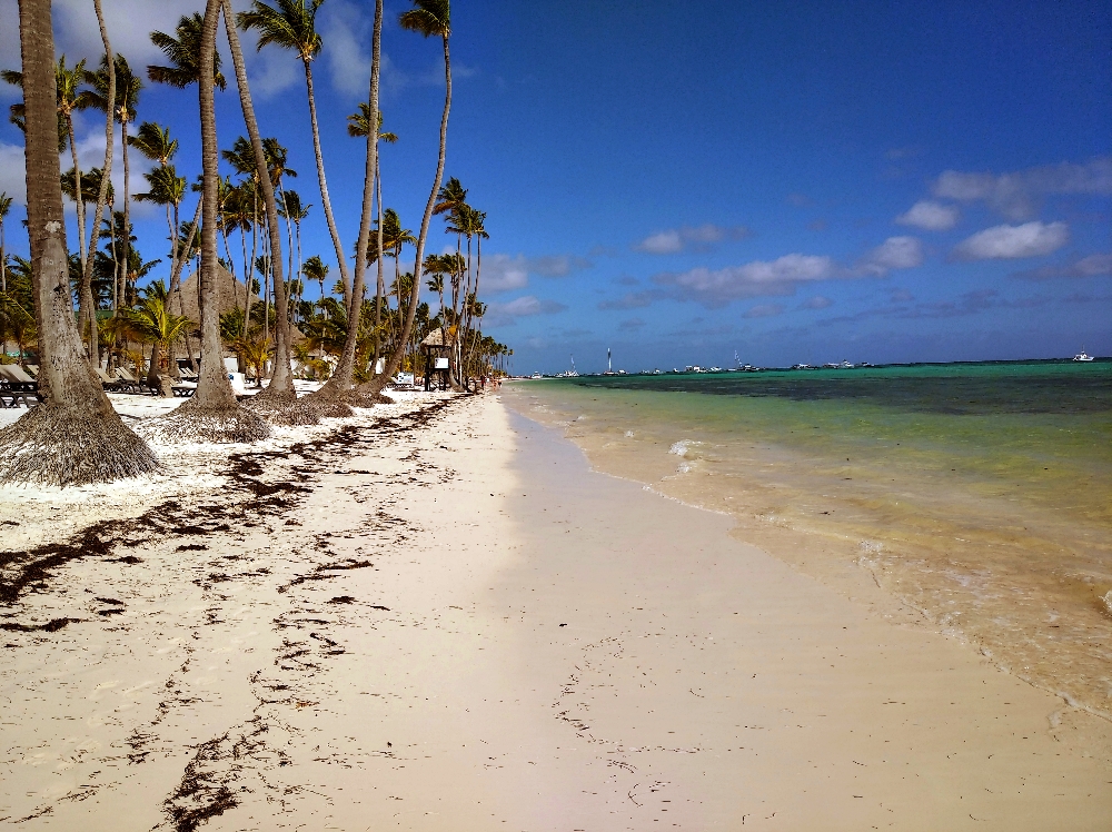 PUNTA CANA 36 1