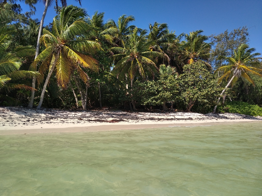 PUNTA CANA 6 1 1