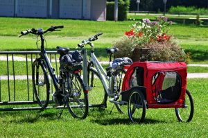 bike 1622183 640
