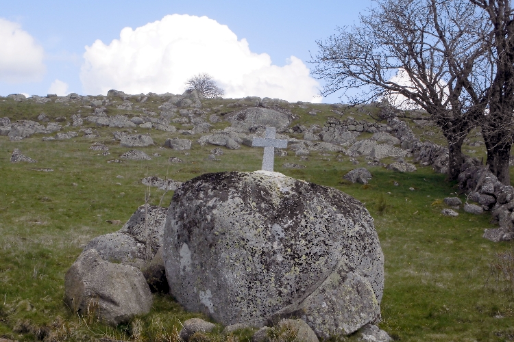 aubrac