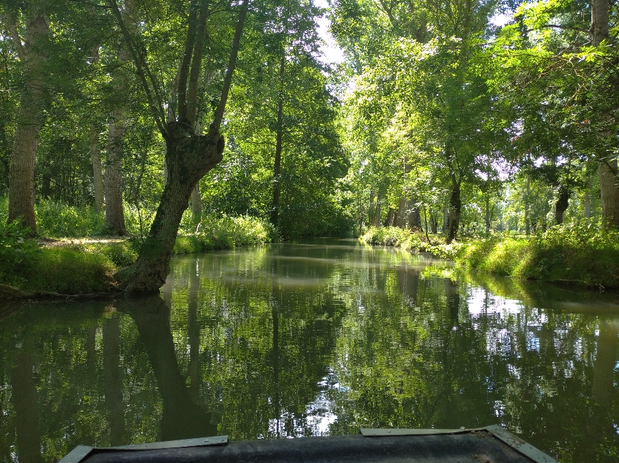 marais poitevin