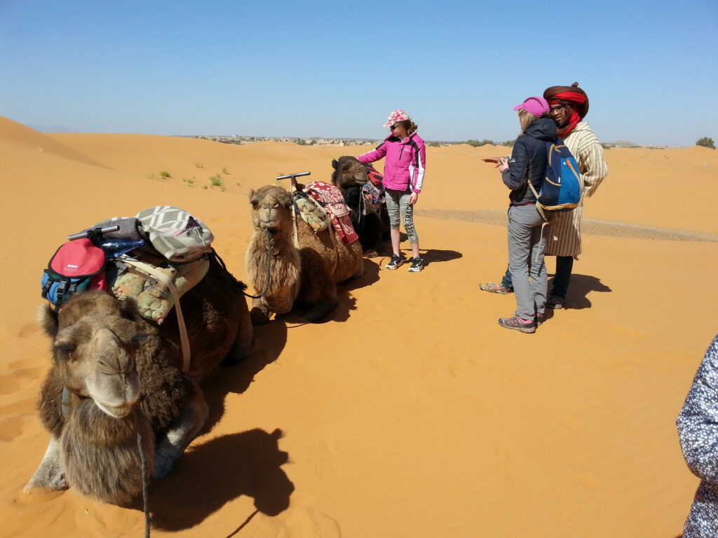 maroc 286 Copie