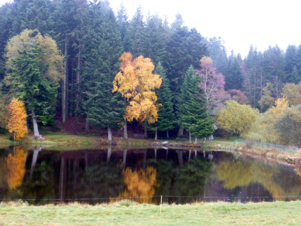 P1030221