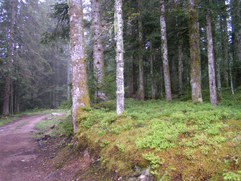 PICT0022